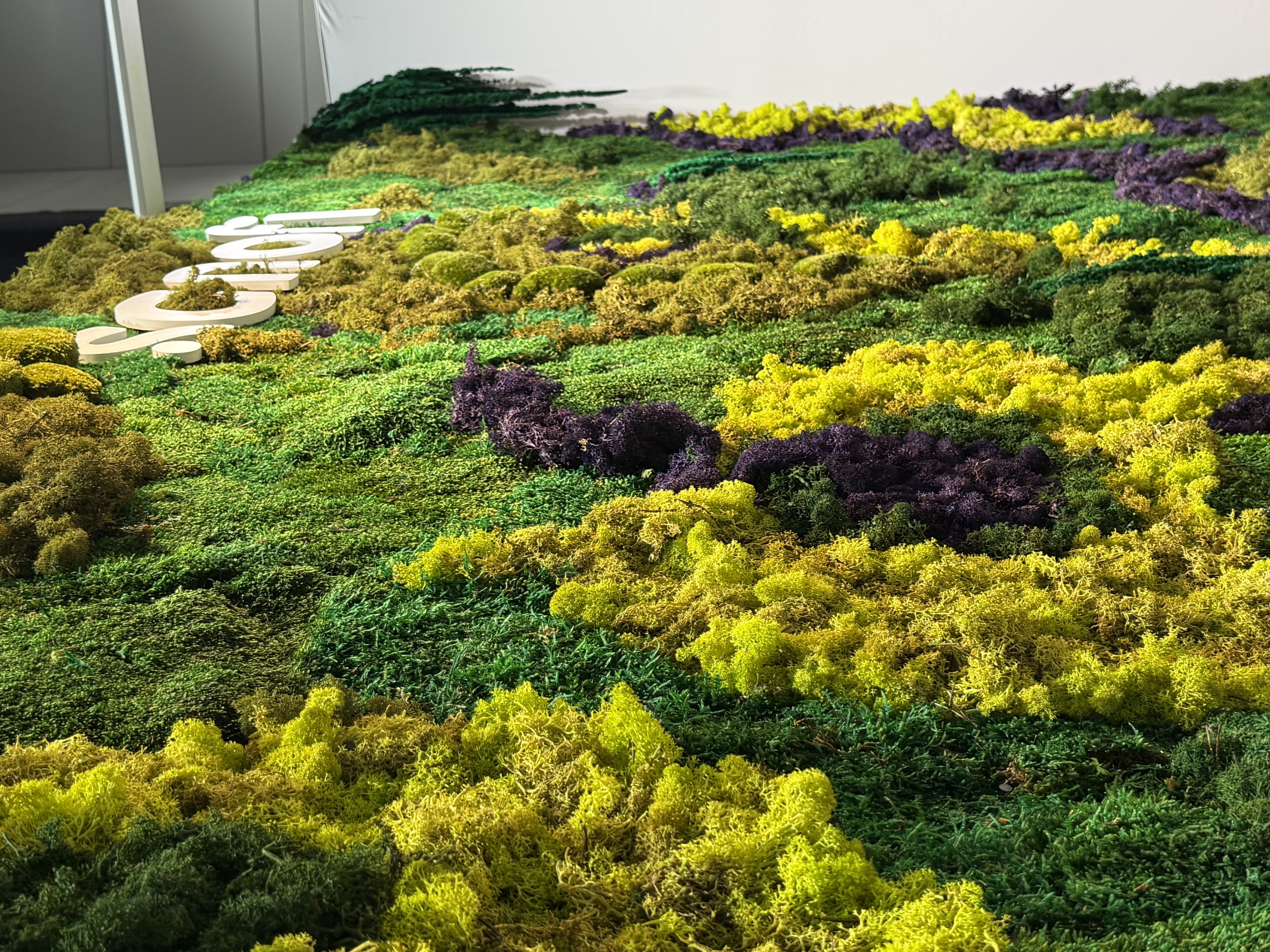 Preserved moss for Sanofi office